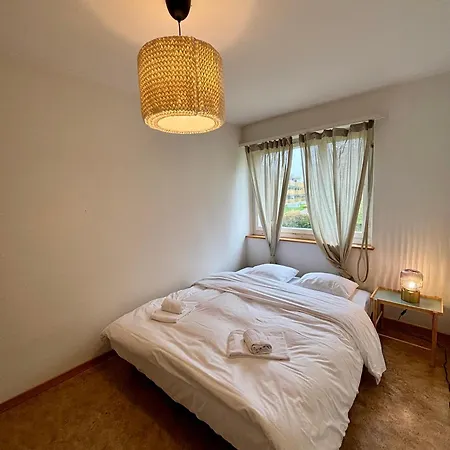 Apartment Simple And Cozy Flat In *